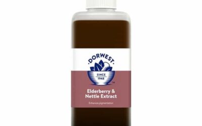 Gubitak pigmentacije kod pasa – Dorwest Elderberry & Nettle