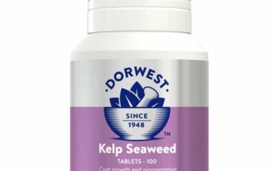 Pigmentacija dlake kod pasa i mačaka – Dorwest Kelp Seaweed