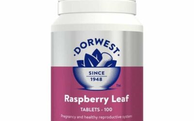 Lažna trudnoća kod pasa – Dorwest Raspberry Leaf Tablets
