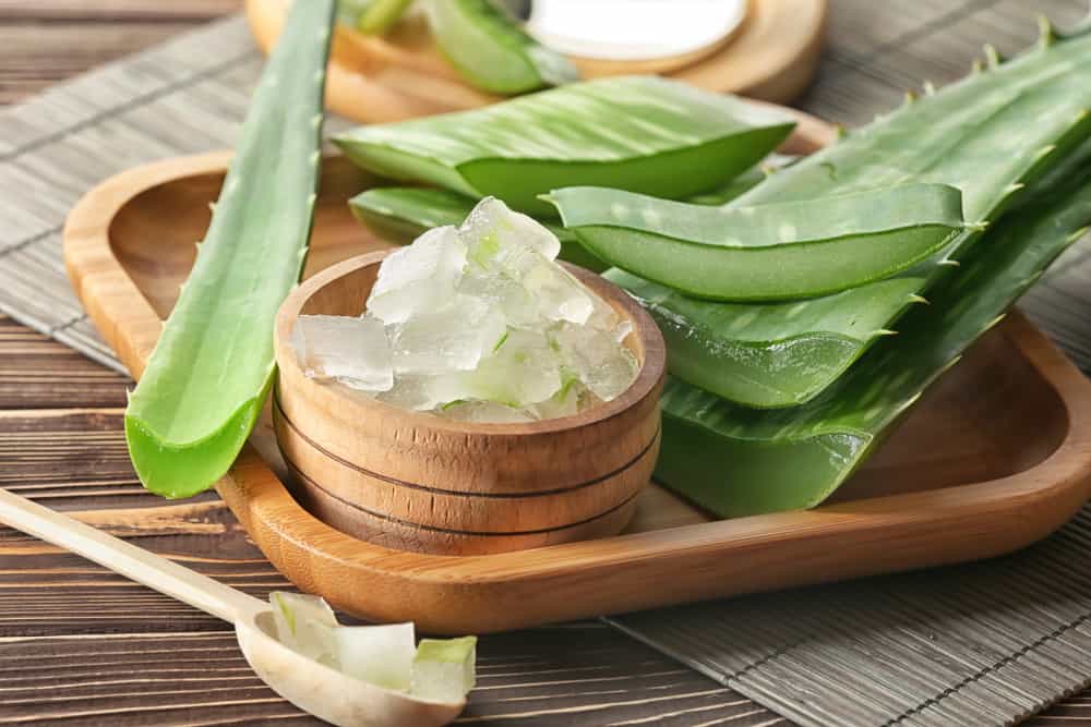 Aloe vera za konje od KM Elite, 1ltr - Slika 2